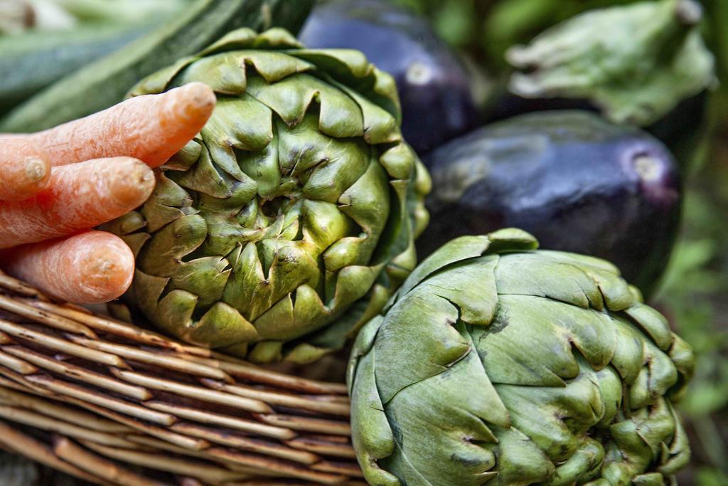 Gullu Konaklari Selçuk Ngoại thất bức ảnh